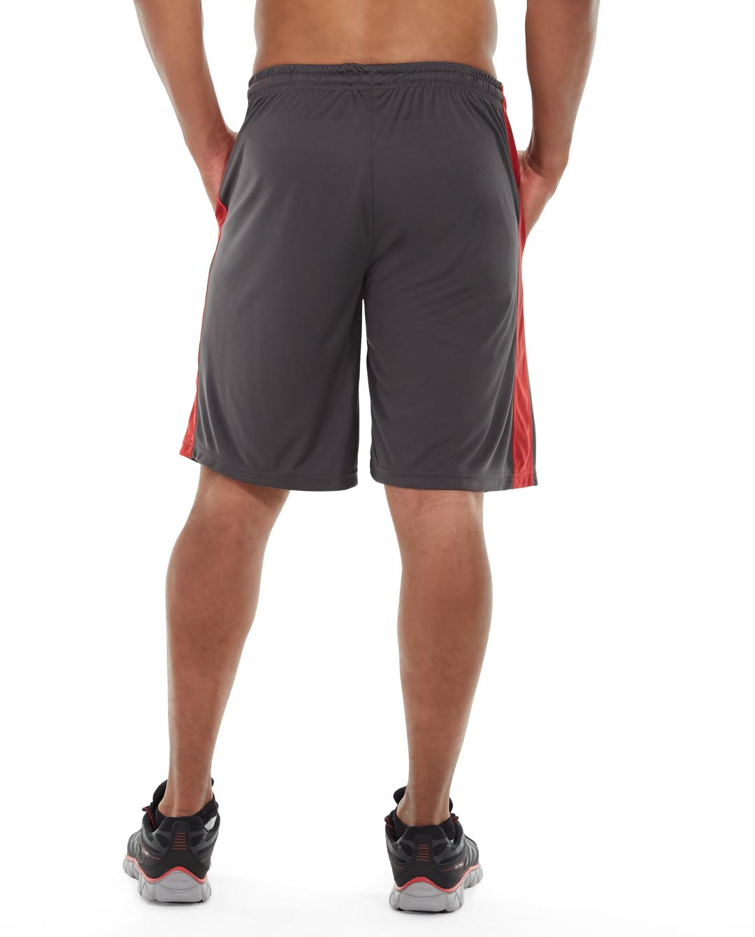 msh05-gray_back.jpg